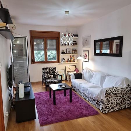 One Bedroom Centre Apartment ポドゴリツァ エクステリア 写真