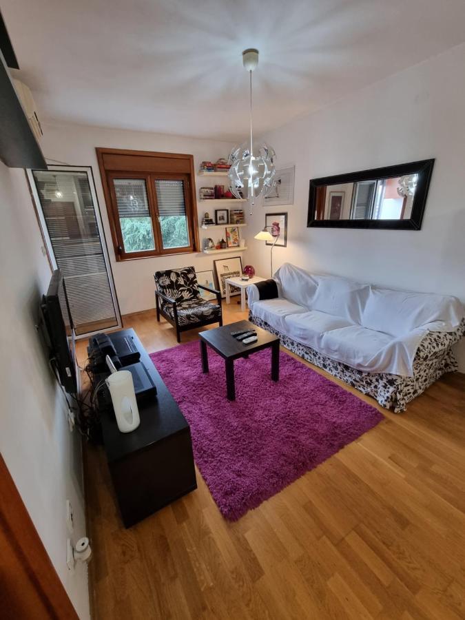 One Bedroom Centre Apartment ポドゴリツァ エクステリア 写真
