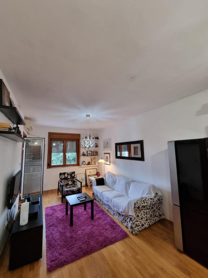 One Bedroom Centre Apartment ポドゴリツァ エクステリア 写真